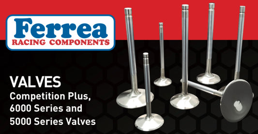 Ferrea VQDE & VQHR Competition Plus Intake Valves
