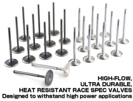 Tomei VQDE Intake & Exhaust Racing Valves