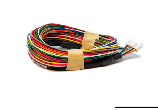 Link ECU G4+ & G4x Expansion Loom