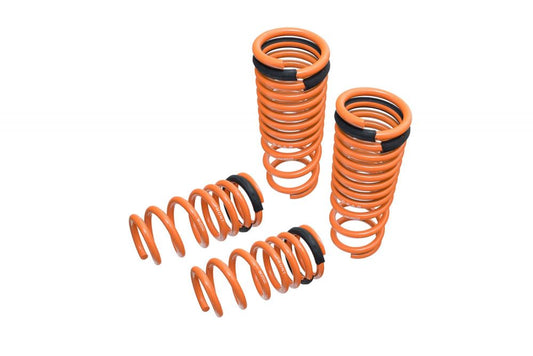 Megan Racing Lowering Springs for Nissan GT-R (R35) 09-15 - MR-LS-NR35